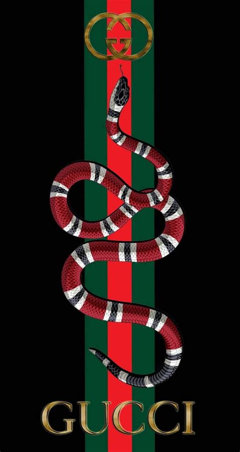 gucci with the snakes|Gucci snake drawing.